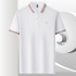 Pierre Cardin PES24PO019 Men's Polo Shirt